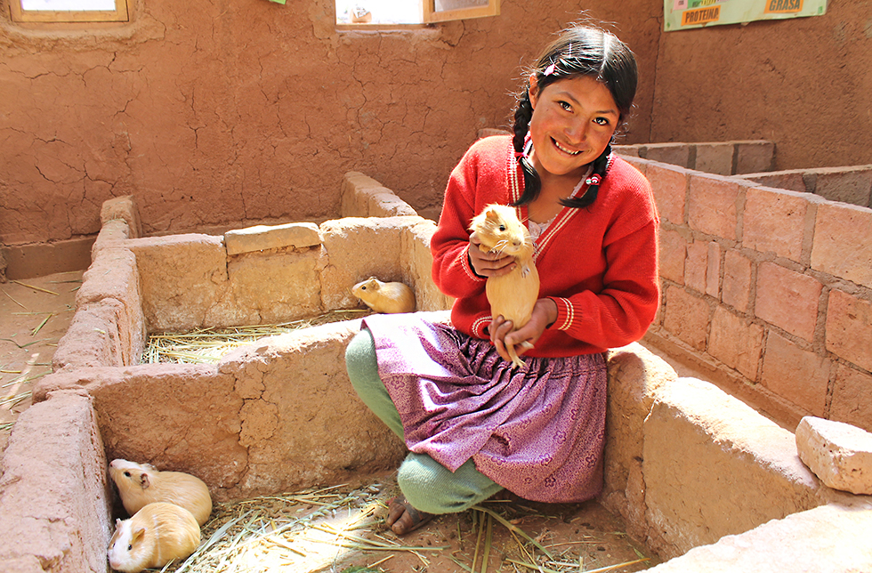 Ein Mädchen zeigt ihre Meerschweinchen in Sumaj Muju, Bolivien