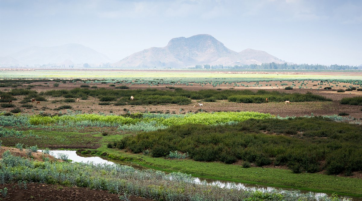 Landschaft im Antsokia-Tal in Äthiopien