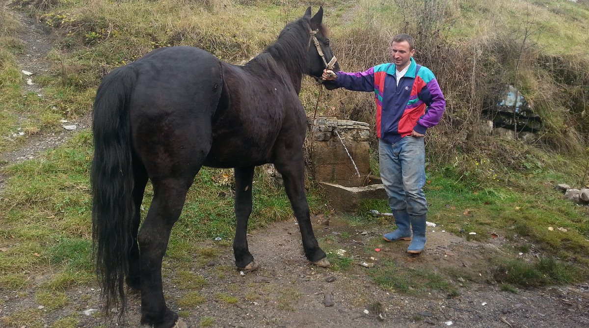 Mirsad und sein neues Pferd in Bosnien