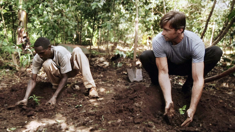 Hugh Jackman und Dukale, äthiopischer Kaffebauer, am Pflanzen von Kaffeebohnen