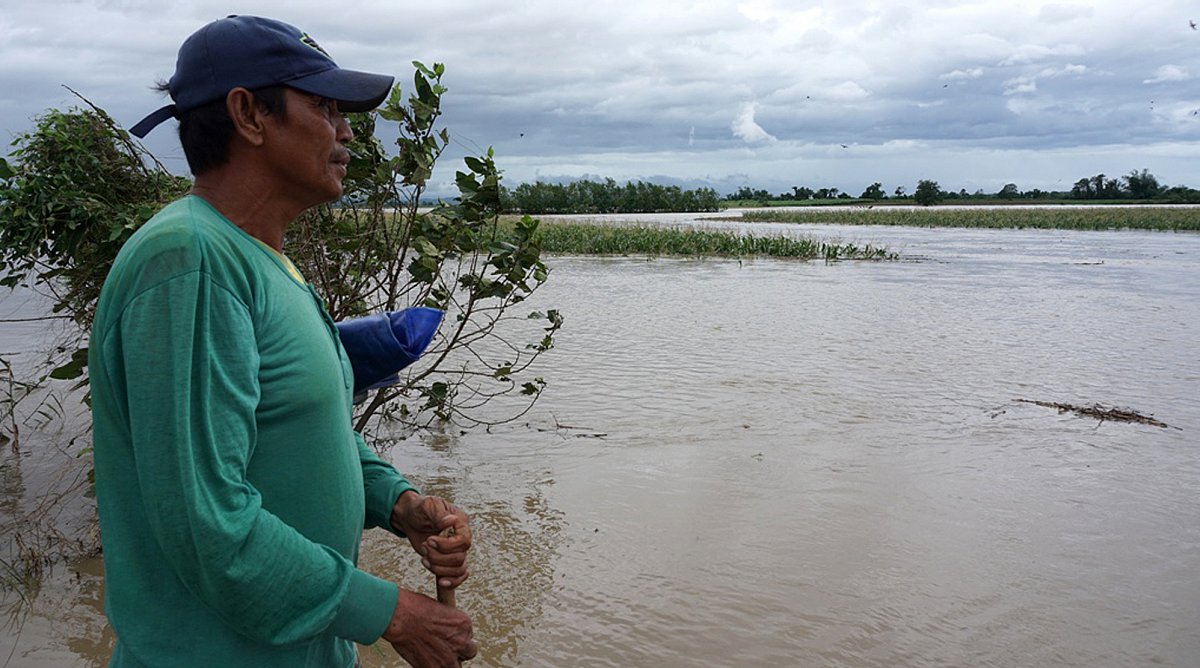 Überschwemmtes Reisfeld auf den Philippinen nach Taifun Koppu.