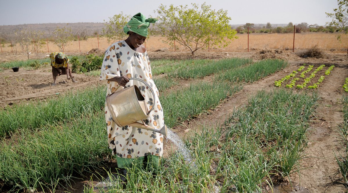 Bewässerung eines Nutzgarten in Mali