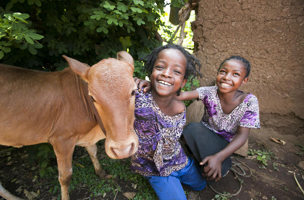 Äthiopien: Zwei kleine Mädchen spielen mit einem Kalb.