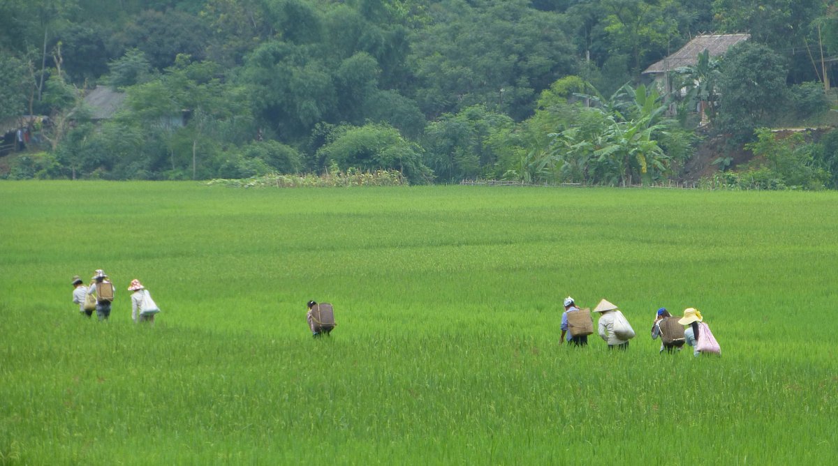 Bewässerungskanal in Nam Tien mit der Unterstützung von World Vision