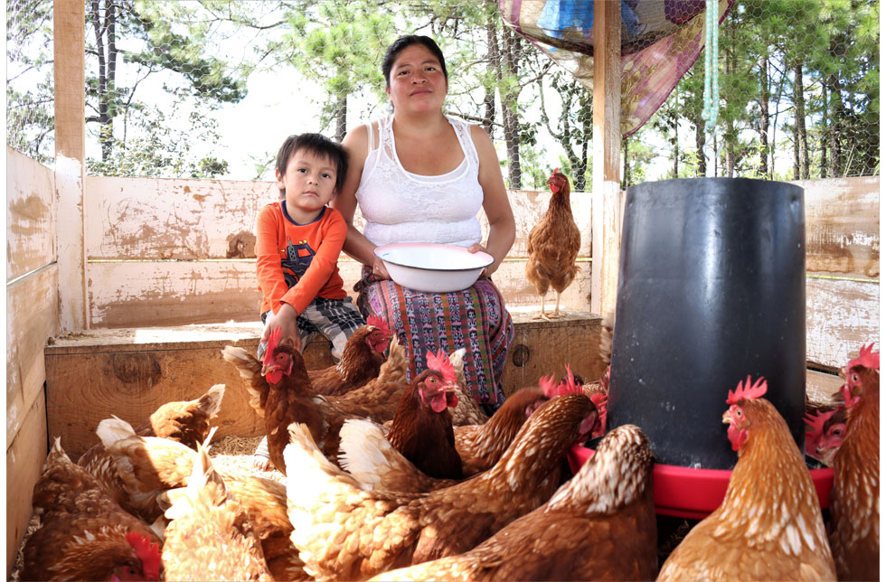 Bolivien: Eine Frau und ihr Kind inmitten ihrer Hühner. 