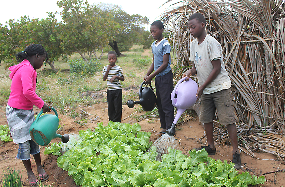 Kinder giessen ihren Garten mit frischem Gemüse in Ukane, Mosambik