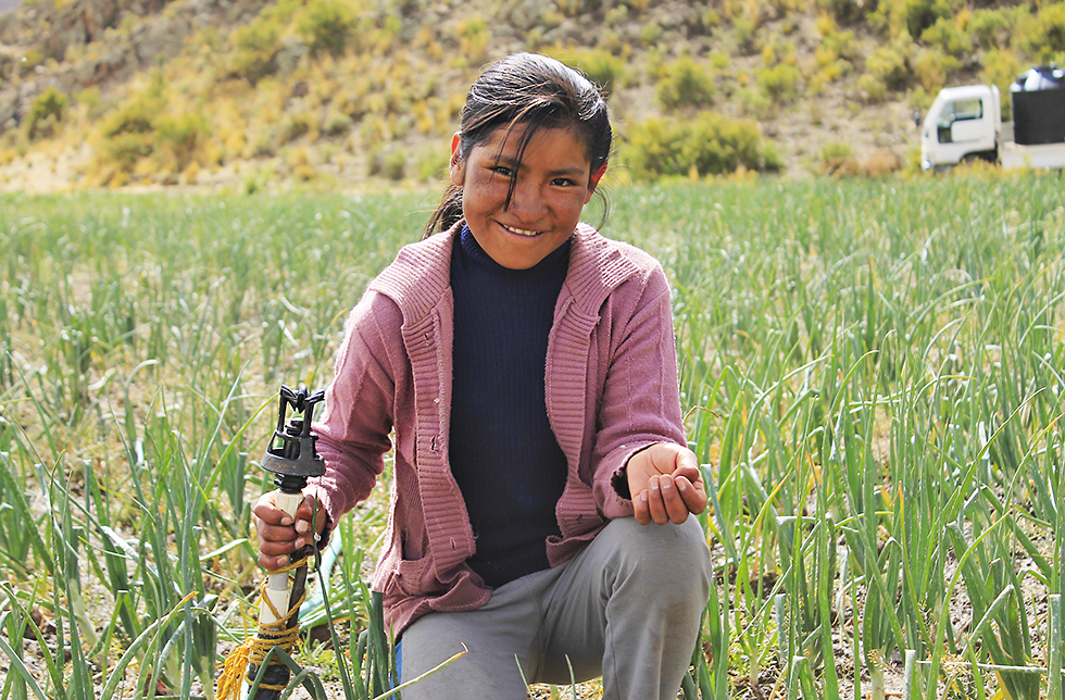 Ein Mädchen in Layme Puraca, Bolivien beim bewässern des Feldes