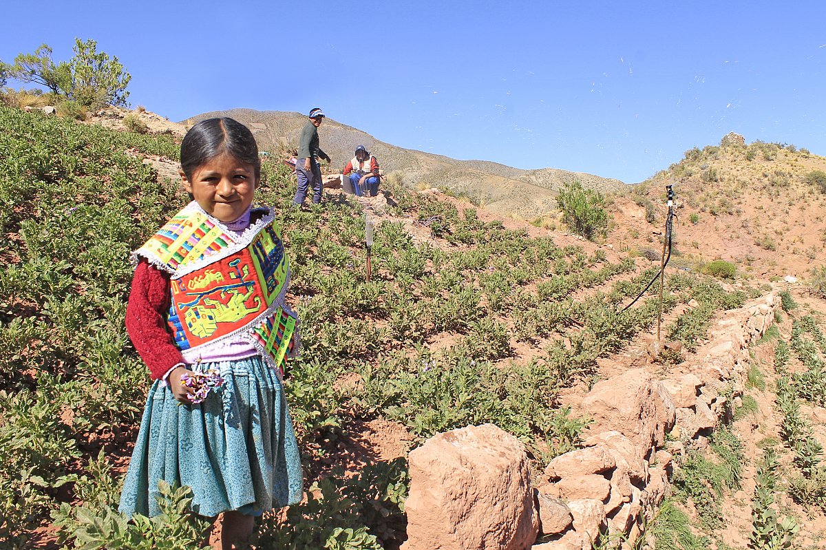Ein Mädchen auf einem Kartoffelfeld in Sumaj Muju, Bolivien