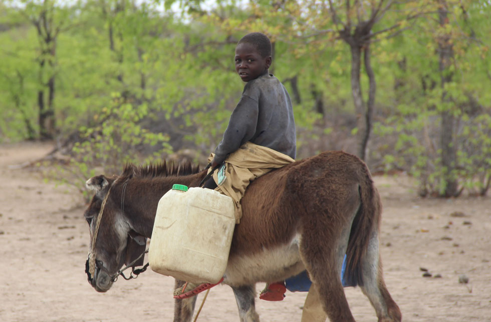 Angola: Ein Junge reitet auf einem Esel. Der Esel trägt leere Wasserkanister.