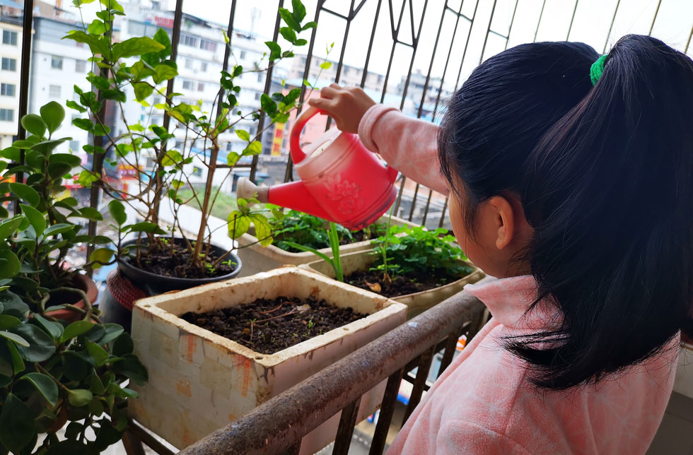 China: Ein Mädchen giesst die Pflanzen auf ihrem Balkon.