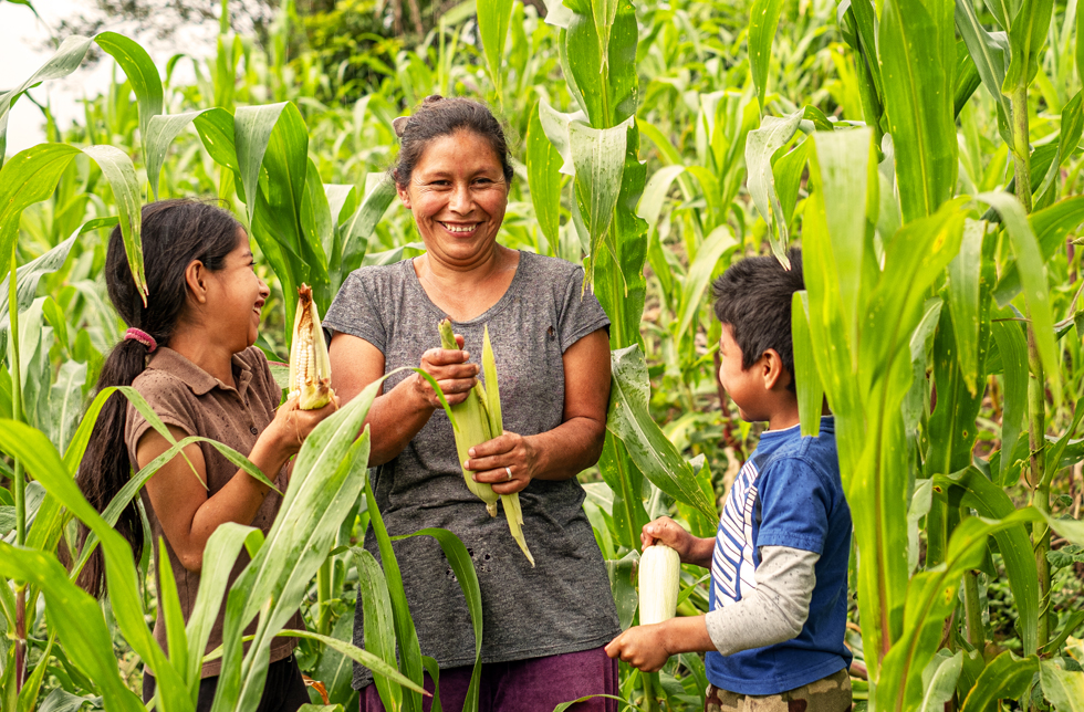 Eine Mutter steht mit ihren Kindern in einem Maisfeld in Honduras.