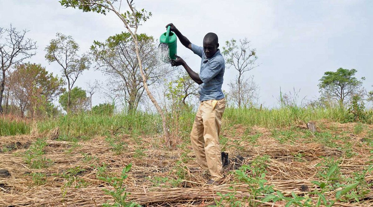Uganda: Ein Bauer bestellt ein Feld.
