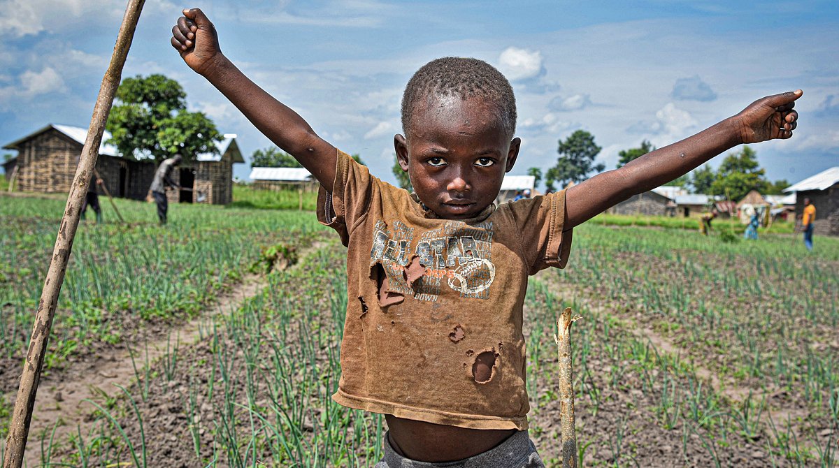 Demokratische Republik Kongo: Ein Junge steht in einem Zwiebelfeld.