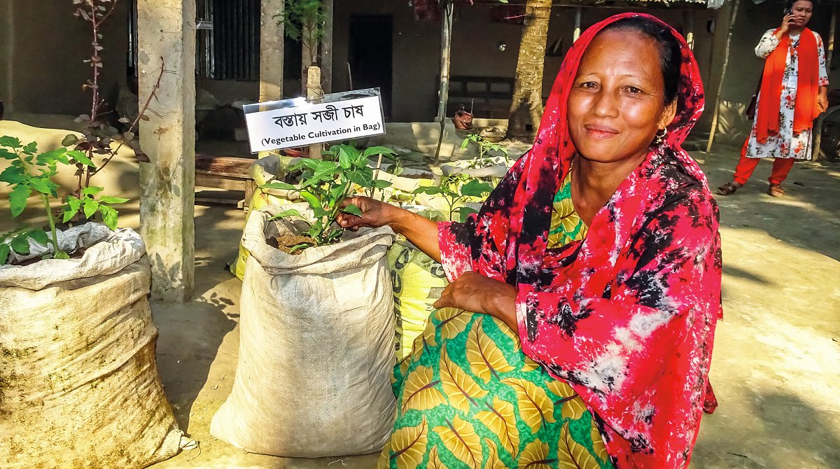 Gemüse wächst auch in Säcken, wie diese Frau in Bangladesch demonstriert.