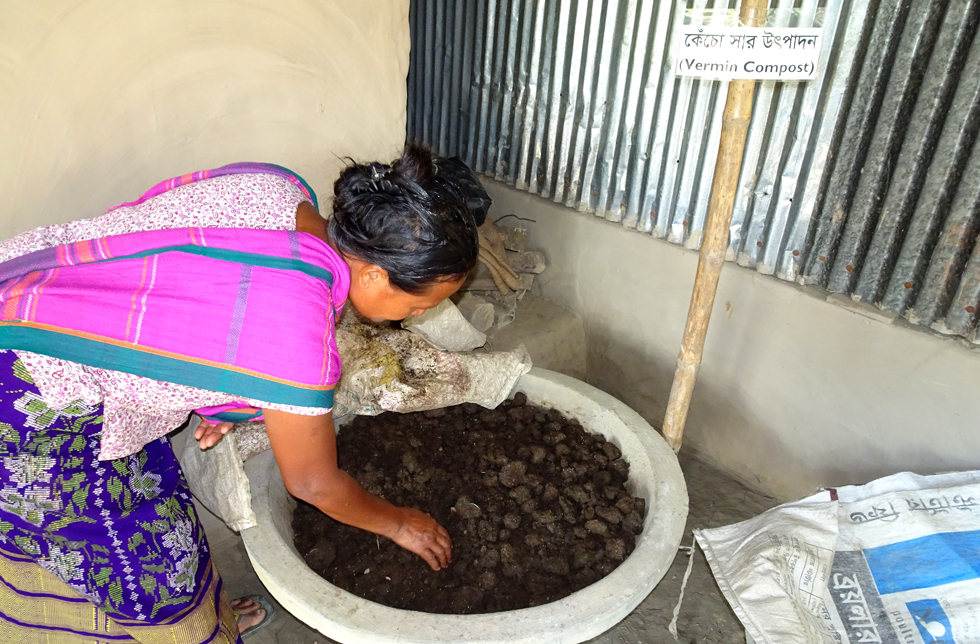 Eine Frau in Bangladesch legt einen Wurmkompost an.
