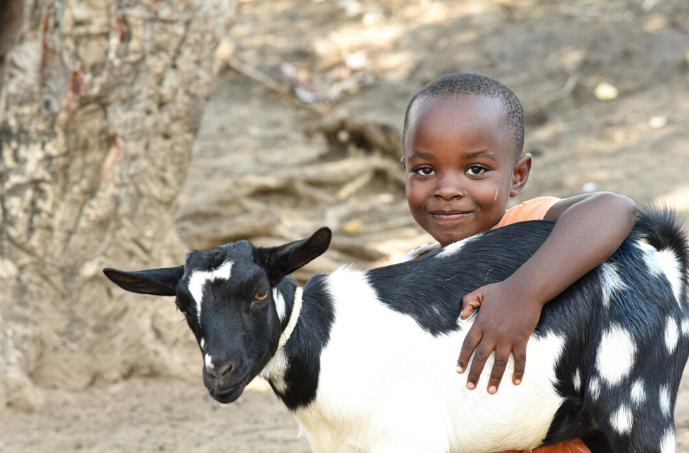 Demokratische Republik Kongo: Ein kleines Mädchen umarmt eine Ziege.