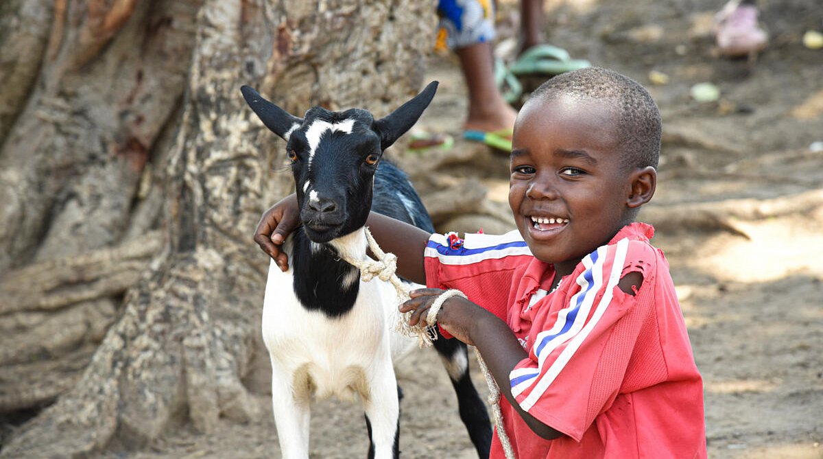 Demokratische Republik Kongo: Kleiner Junge kniet neben einer Ziege und lächelt.