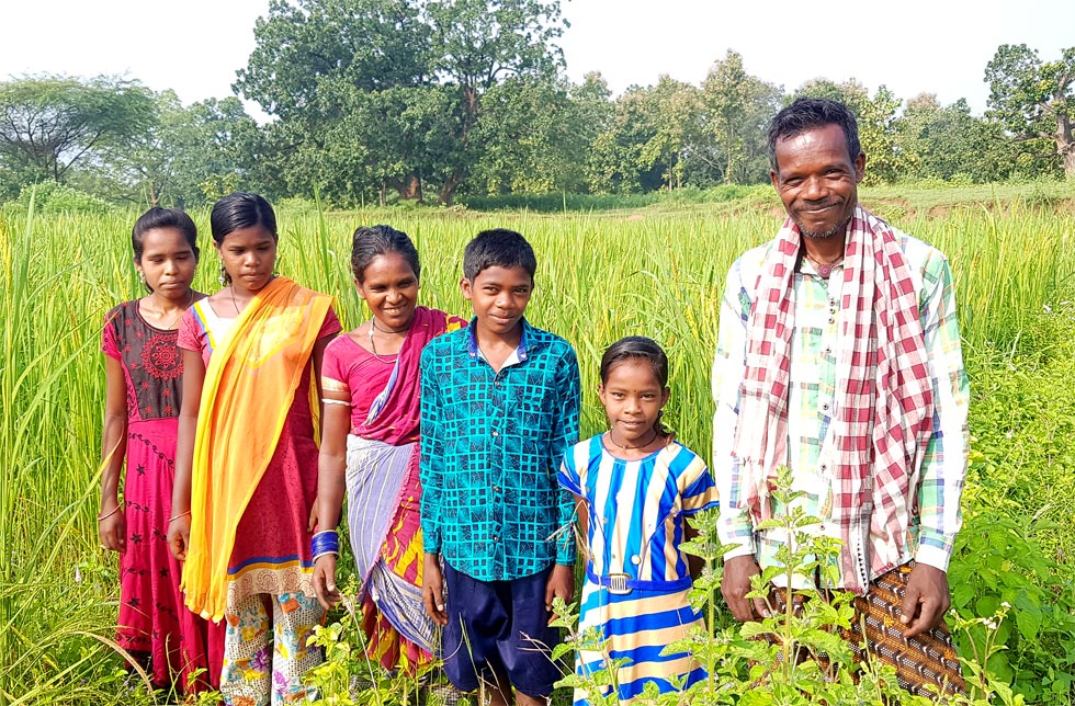 Indien: Eine Familie steht in einem grünen Reisfeld