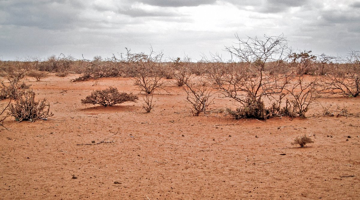 Karge Landschaft in Somaliland