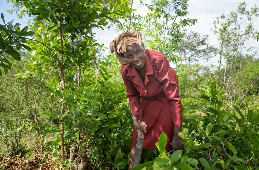 Kenia: Eine junge Bäuerin in rotem Kleid lacht in die Kamera. Sie hat ein Messer in der Hand, um die Büsche zu beschneiden, und steht in mitten einer grünen Vegetation.