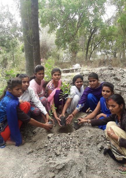 Indien: eine Gruppe junger Mädchen pflanzt einen Setzling ein.