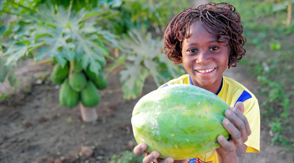 Foune aus Mali zeigt eine Papaya
