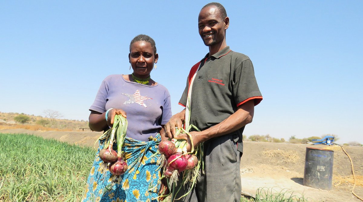 Bauern aus Tansania vor ihrem Zwiebel-Feld