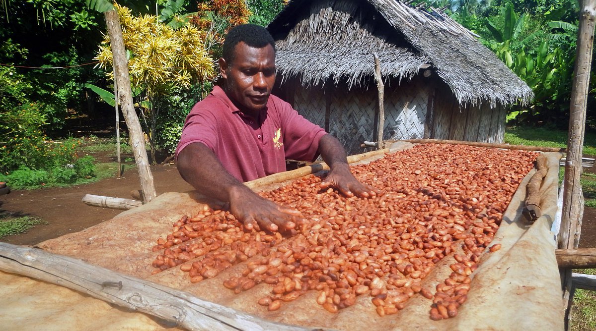 Kakao-Bauer aus Vanuatu