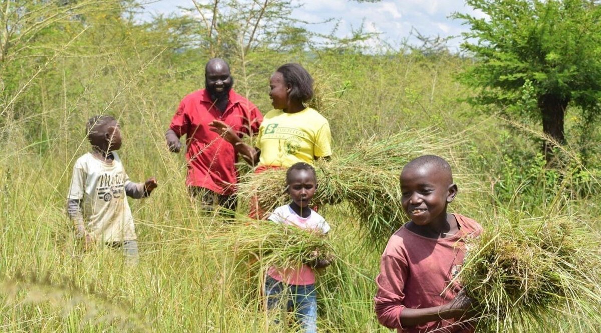 Kenia: Ein Elternpaar mit seinen drei Kindern bei der Heuernte auf der eigenen Farm.
