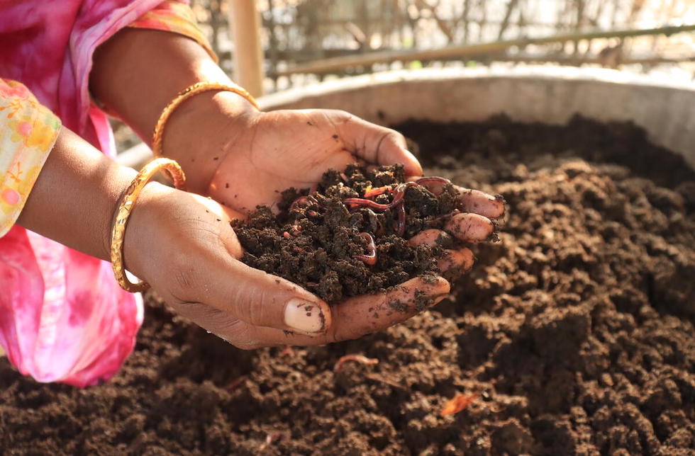 Bangladesch: Zwei Frauenhände halten Erde. In der Erde sind Regenwürmer zu erkennen.