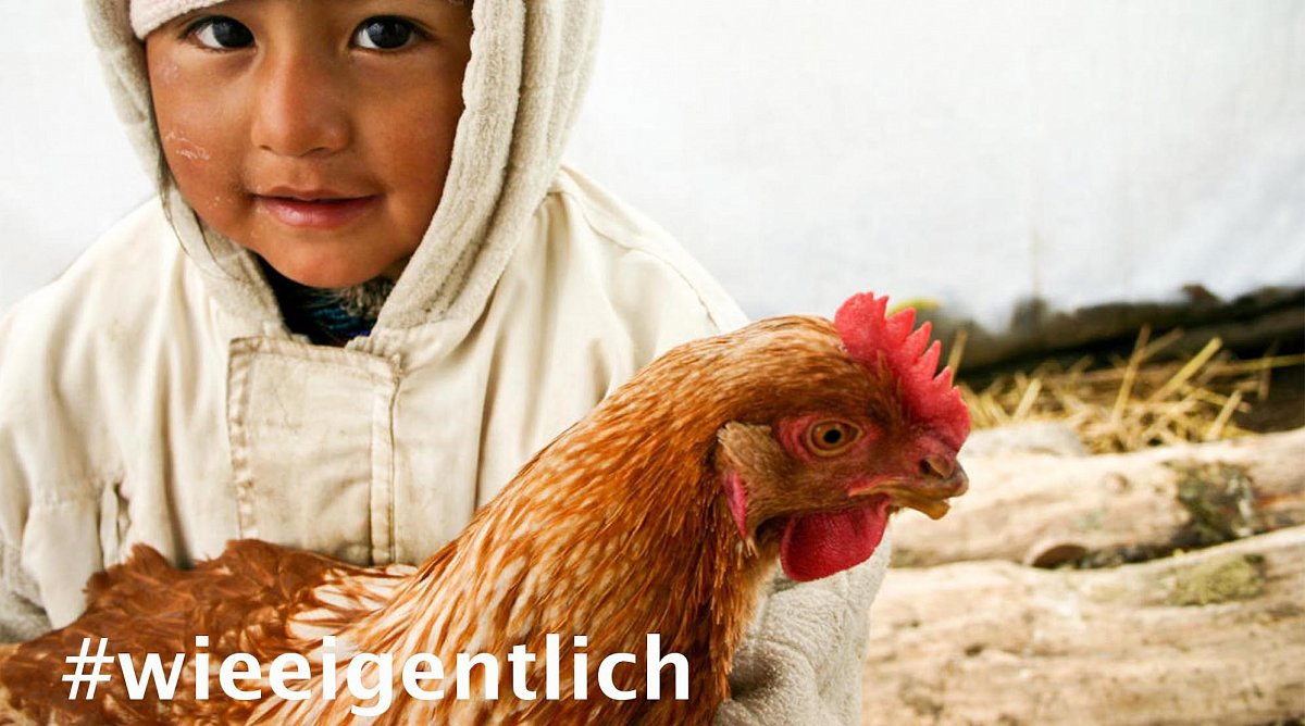 Ecuador: ein kleines Mädchen mit Mütze und Kapuze hält einen Hahn auf dem Arm.