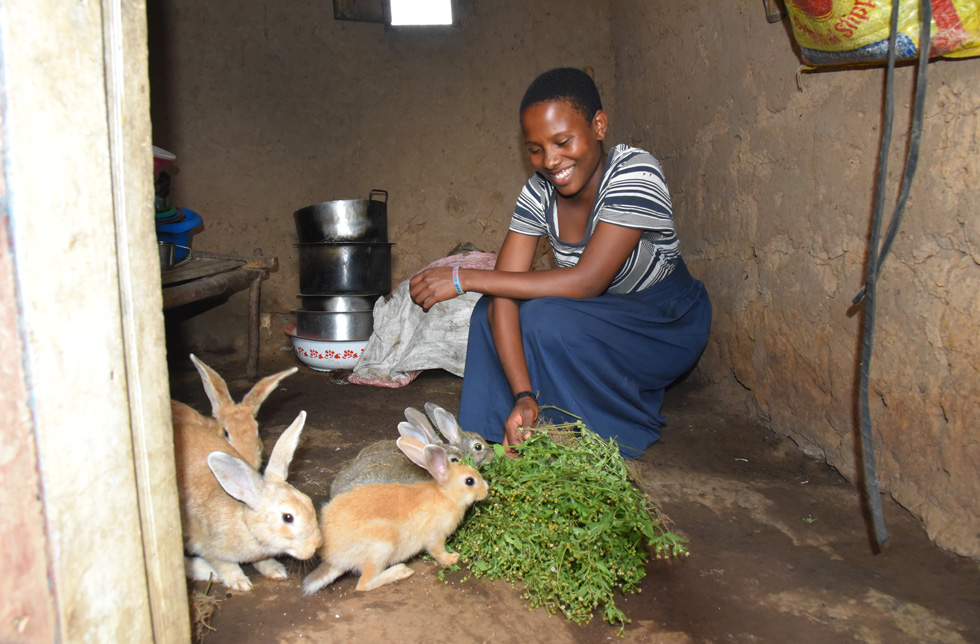 une jeune femme nourrit des lapins.