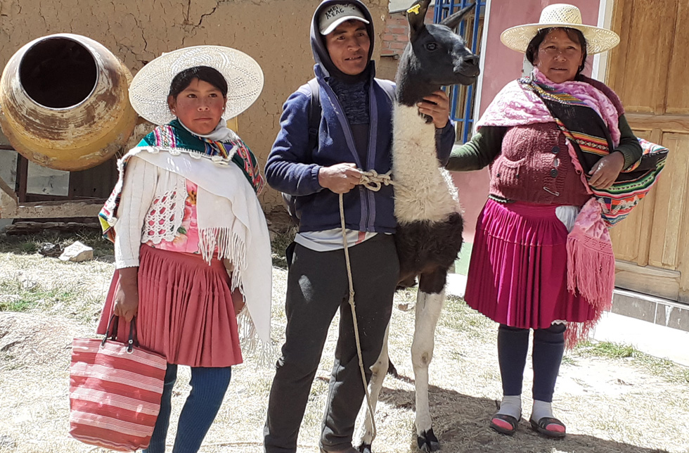 Bolivien: Familie erhält Futter für die Lamas.