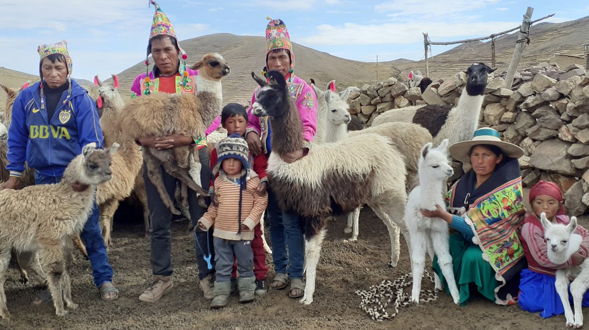 Bolivien: Familie mit Lamas.