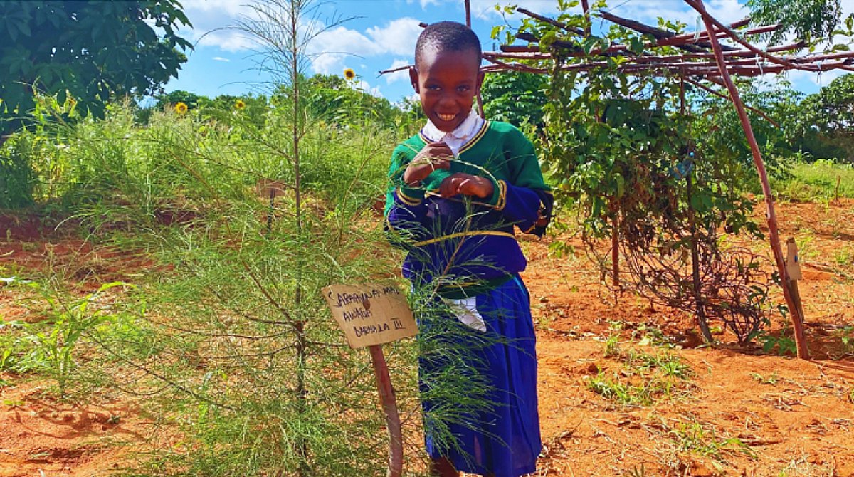 Tansania: Ein Mädchen in Schuluniform steht neben einem Bäumchen.