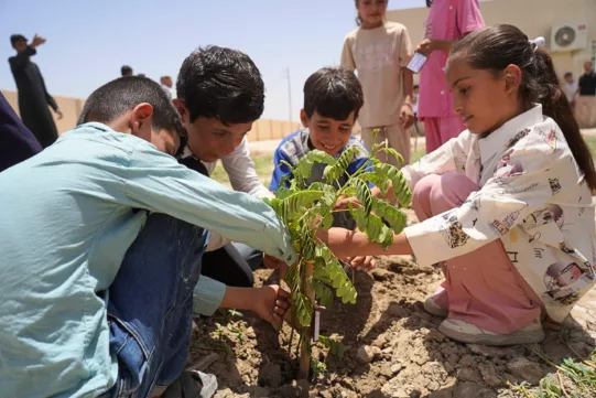 Kinder im Irak pflanzen ein Bäumchen.