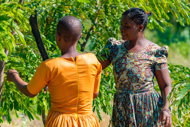 Rachel (rechts) leitet in Malawi eine Gruppe junger Frauen an, wie man Bäume und Sträucher so zurückschneidet, dass sie mehr Ertrag bringen und das Mikroklima schützen.